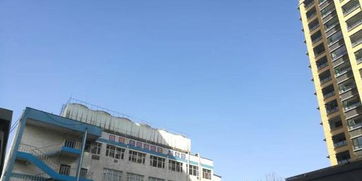 齊魯制藥后遺癥 二紡織機(jī)械廠宿舍仍受異味困擾